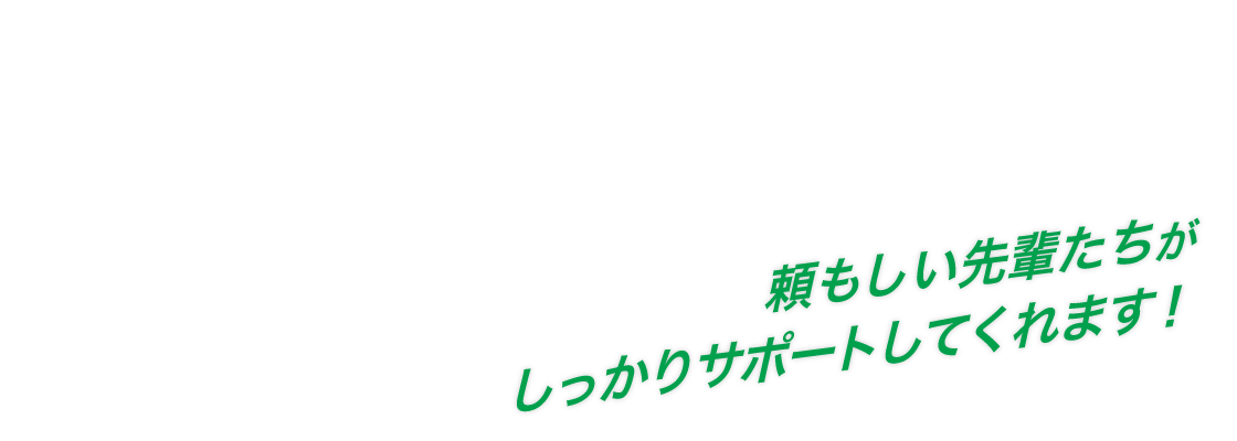 頼もしい先輩たちが しっかりサポートしてくれます！